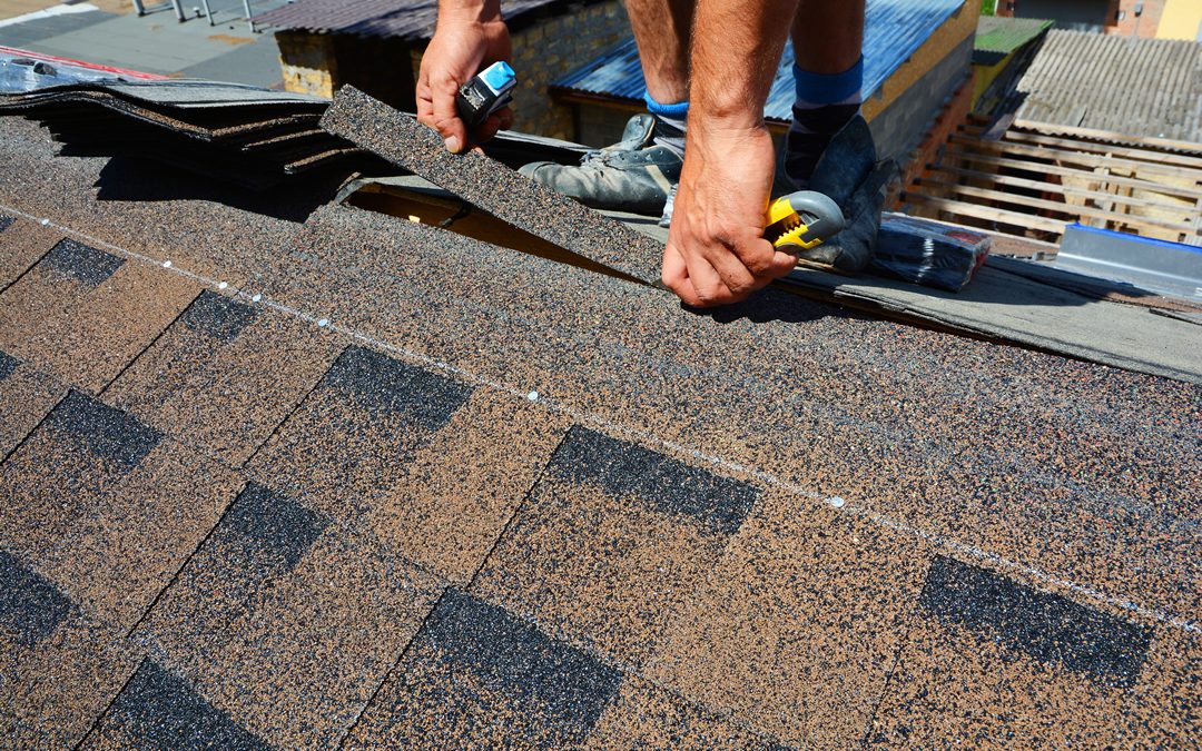 Hiring a Roof Repair Specialist 101