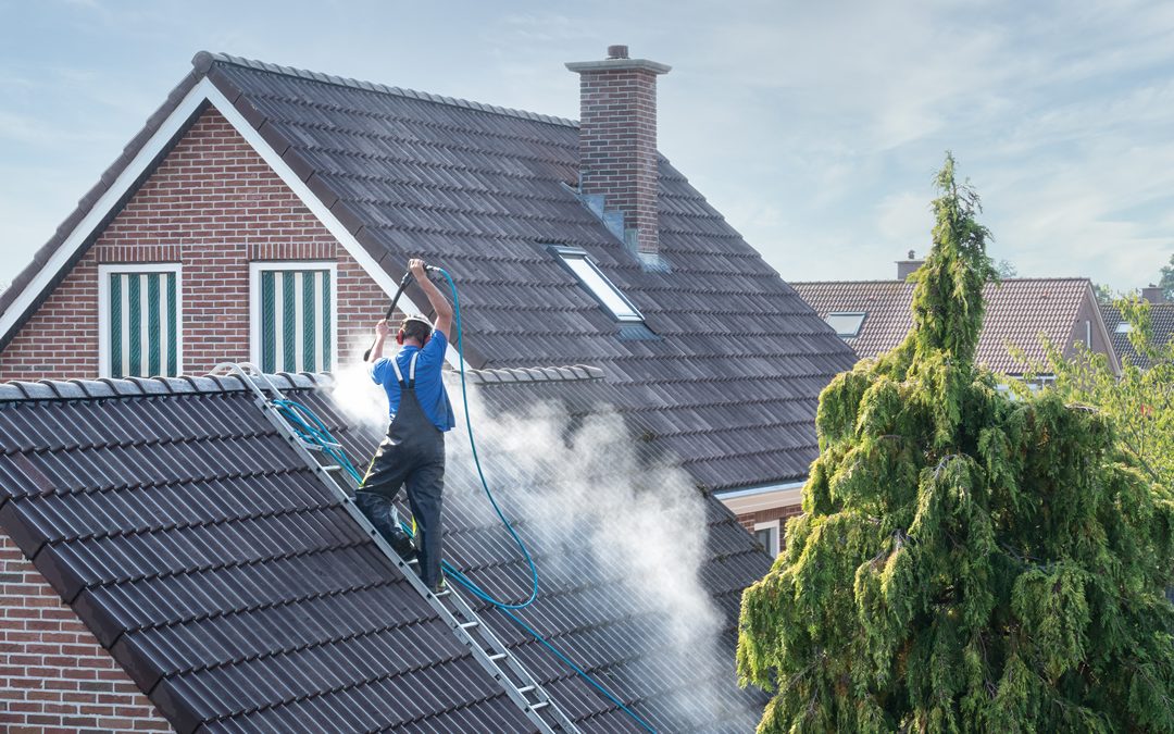 How Often Should You Clean Your Roof? An Expert’s Guide