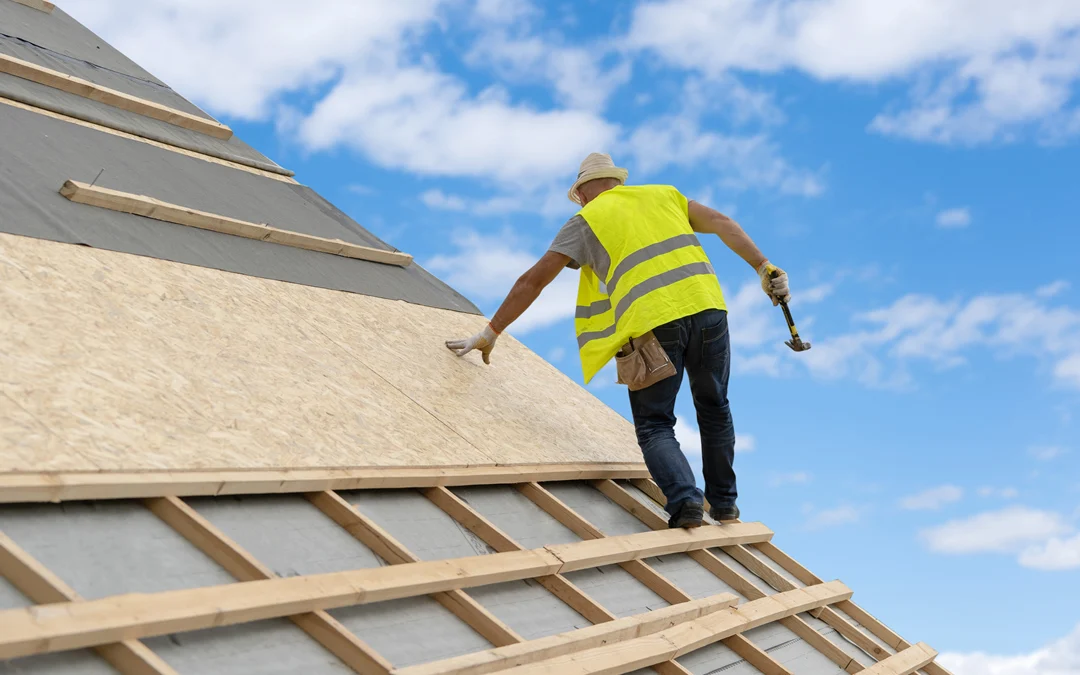 Plywood VS OSB: Settling The Debate