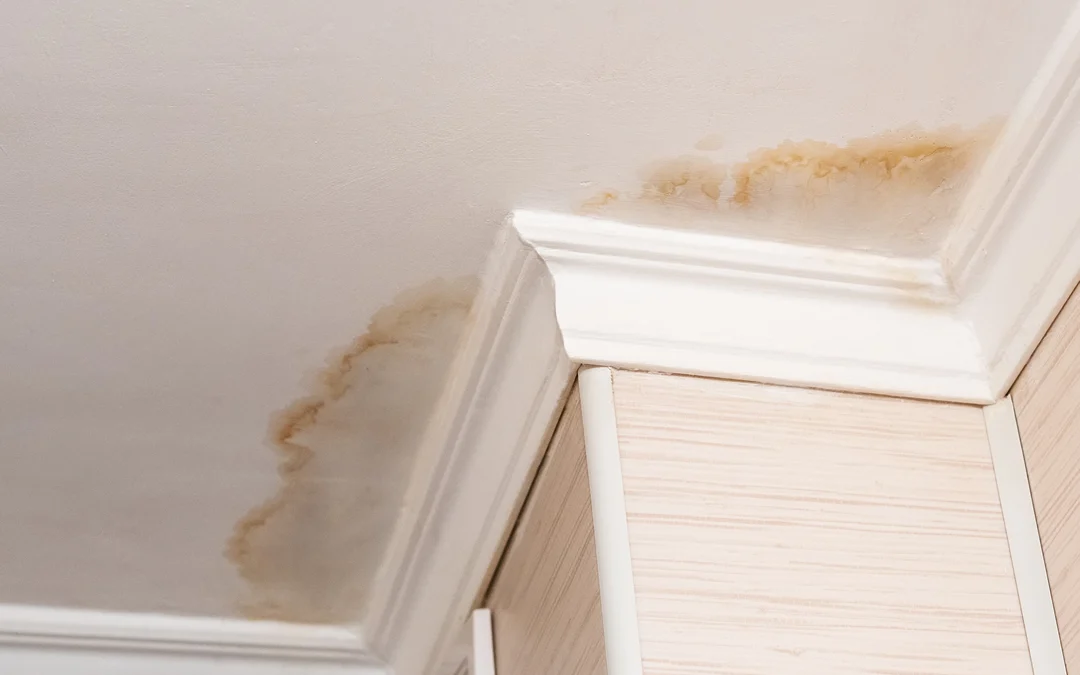 Brown Spots on Ceiling: What Exactly Are They?