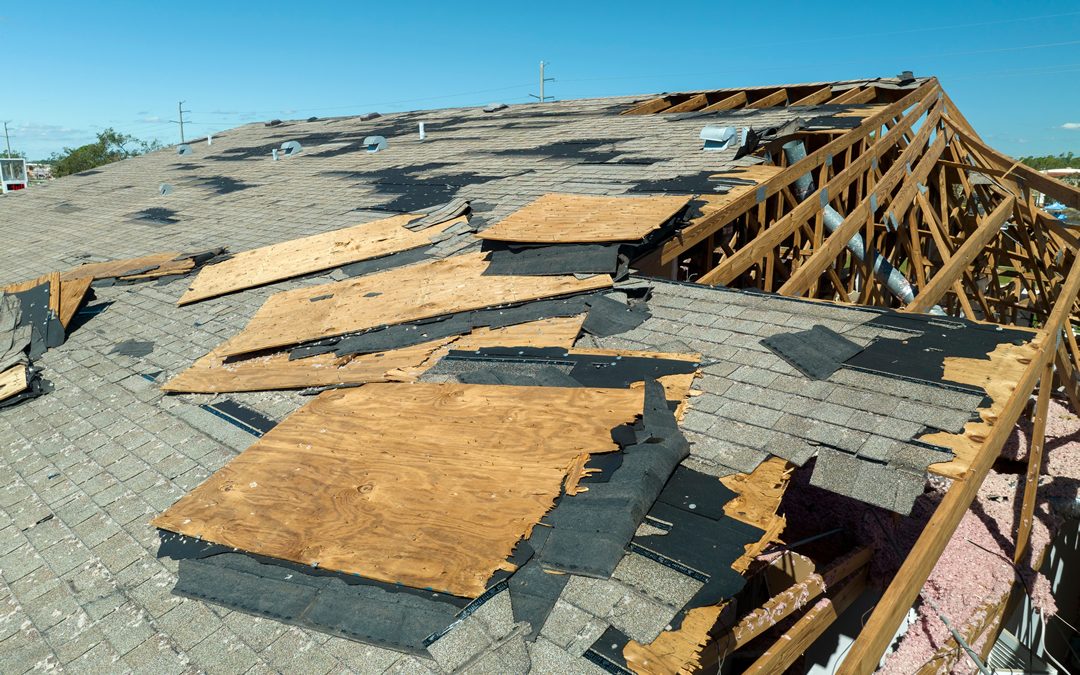 Signs of Roof Damage Every Homeowner Should Look Out For